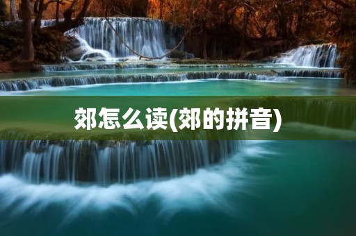 郊怎么读(郊的拼音)