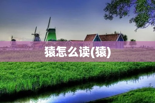 猿怎么读(猿)
