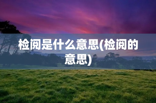 检阅是什么意思(检阅的意思)