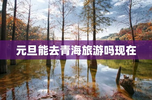 元旦能去青海旅游吗现在