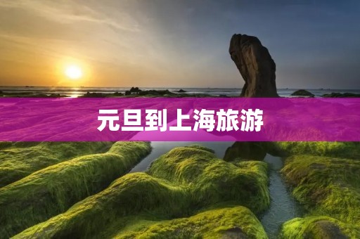 元旦到上海旅游 元旦到上海旅游