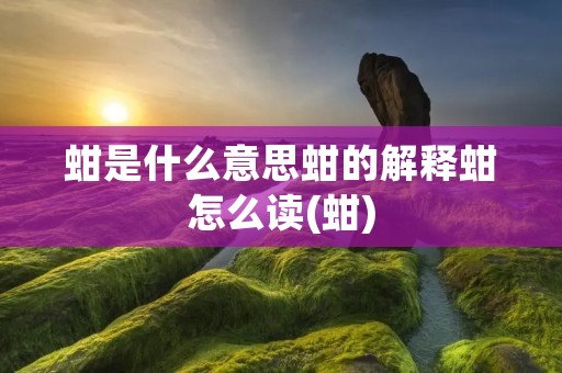 蚶是什么意思蚶的解释蚶怎么读(蚶)