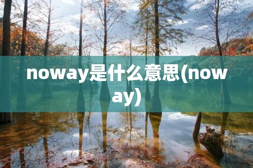noway是什么意思(noway)