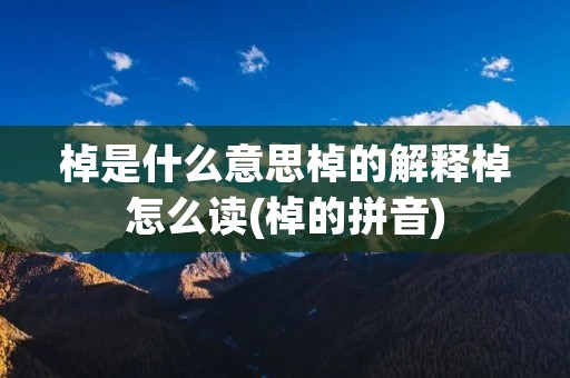 棹是什么意思棹的解释棹怎么读(棹的拼音)