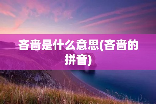 吝啬是什么意思(吝啬的拼音)