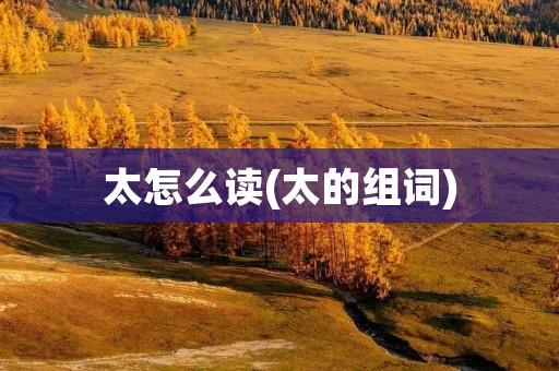 太怎么读(太的组词)