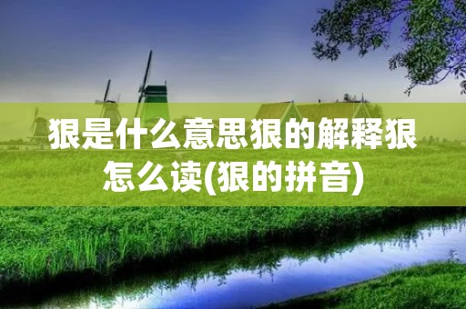 狠是什么意思狠的解释狠怎么读(狠的拼音)
