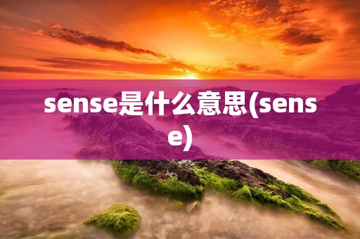 sense是什么意思(sense)
