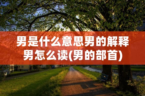 男是什么意思男的解释男怎么读(男的部首)