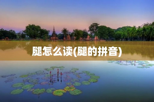 腿怎么读(腿的拼音)