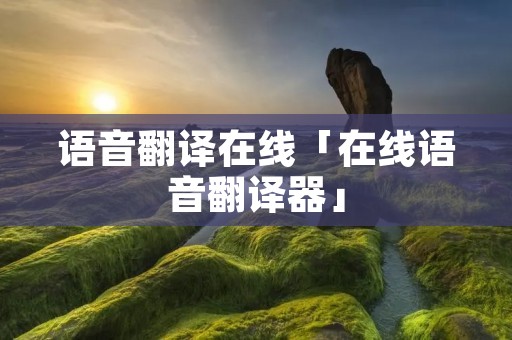 语音翻译在线「在线语音翻译器」