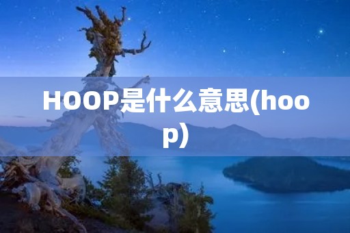 HOOP是什么意思(hoop)