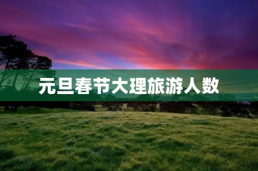 元旦春节大理旅游人数