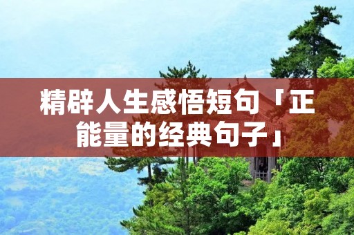 精辟人生感悟短句「正能量的经典句子」