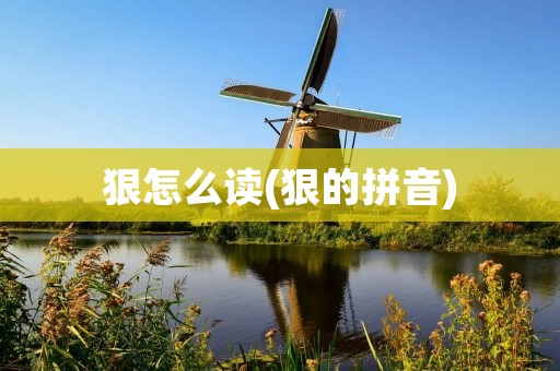 狠怎么读(狠的拼音)