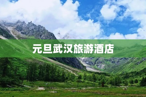 元旦武汉旅游酒店