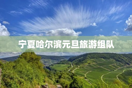 宁夏哈尔滨元旦旅游组队