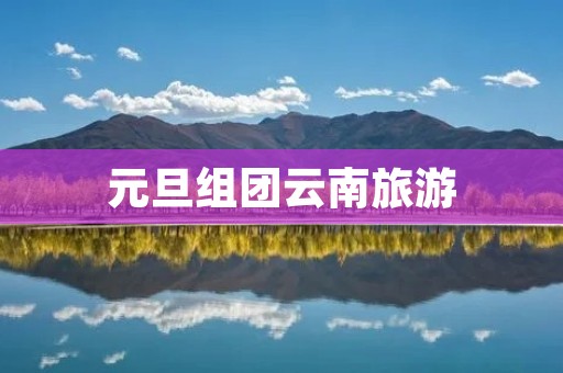 元旦组团云南旅游