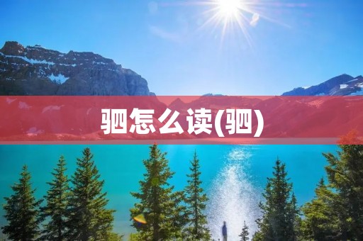 驷怎么读(驷)