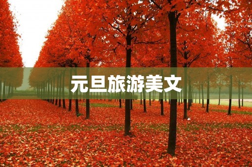 元旦旅游美文