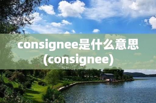 consignee是什么意思(consignee)