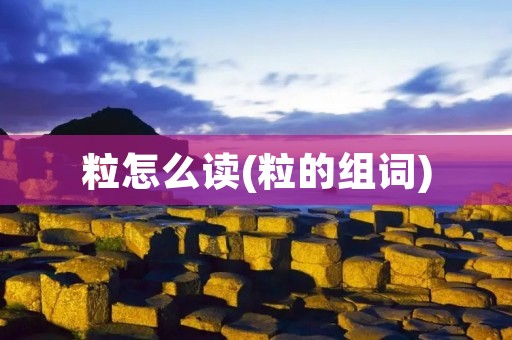 粒怎么读(粒的组词)