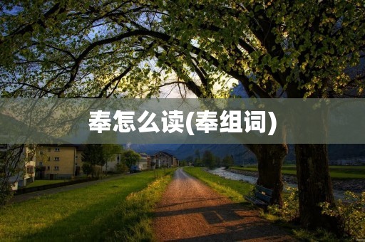 奉怎么读(奉组词)