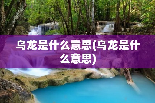 乌龙是什么意思(乌龙是什么意思)