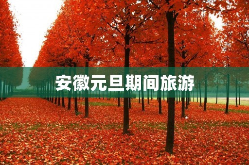 安徽元旦期间旅游