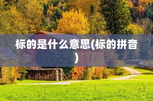 标的是什么意思(标的拼音)