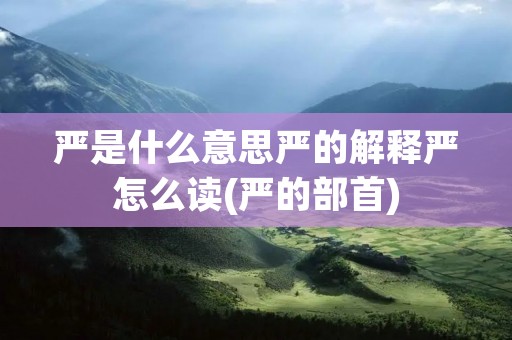 严是什么意思严的解释严怎么读(严的部首)