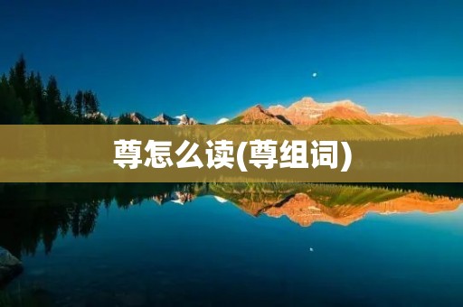 尊怎么读(尊组词)