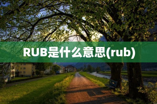 RUB是什么意思(rub)