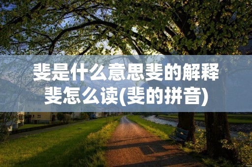 斐是什么意思斐的解释斐怎么读(斐的拼音)