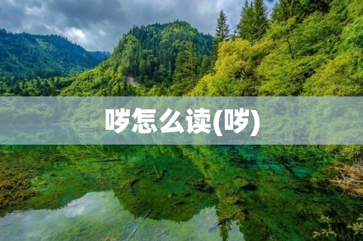 哕怎么读(哕)