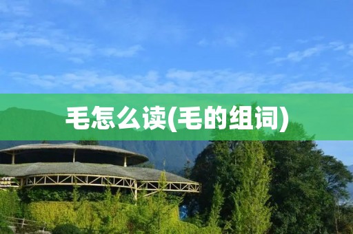 毛怎么读(毛的组词)