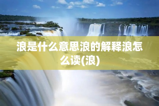 浪是什么意思浪的解释浪怎么读(浪)