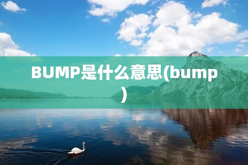 BUMP是什么意思(bump)