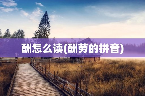 酬怎么读(酬劳的拼音)