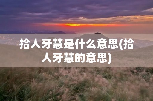 拾人牙慧是什么意思(拾人牙慧的意思)