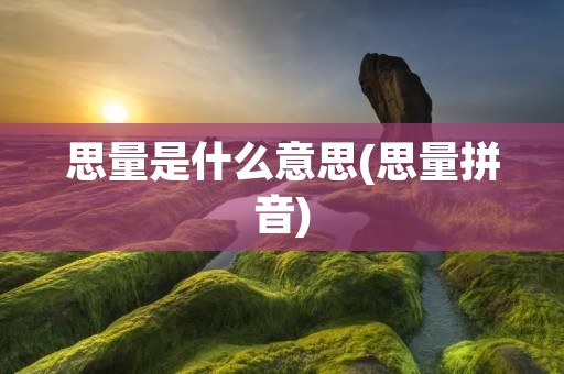 思量是什么意思(思量拼音)