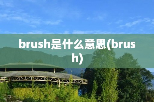 brush是什么意思(brush)