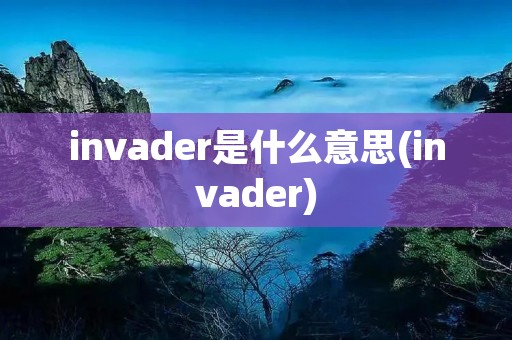 invader是什么意思(invader)