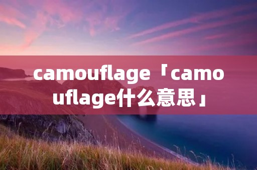 camouflage「camouflage什么意思」