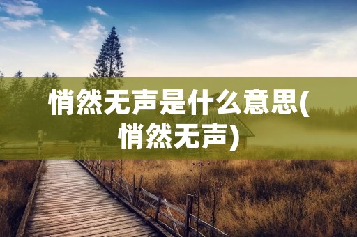 悄然无声是什么意思(悄然无声)