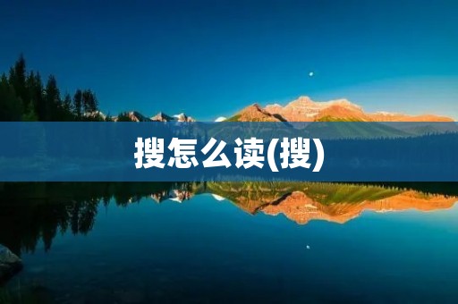 搜怎么读(搜)