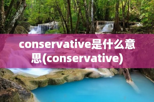 conservative是什么意思(conservative)