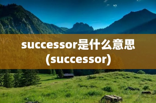 successor是什么意思(successor)