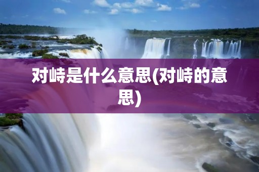 对峙是什么意思(对峙的意思)