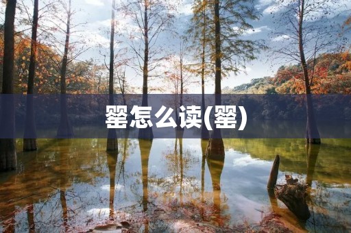 罂怎么读(罂)